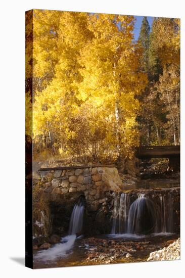 A Small Stream Cascades over a Rock Dam Amid Fall Aspens in the Sierra-John Alves-Stretched Canvas