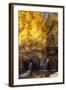 A Small Stream Cascades over a Rock Dam Amid Fall Aspens in the Sierra-John Alves-Framed Photographic Print