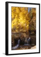 A Small Stream Cascades over a Rock Dam Amid Fall Aspens in the Sierra-John Alves-Framed Photographic Print