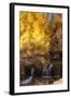 A Small Stream Cascades over a Rock Dam Amid Fall Aspens in the Sierra-John Alves-Framed Photographic Print