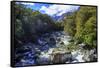 A Small Stream Near Milford Sound on the South Island of New Zealand-Paul Dymond-Framed Stretched Canvas