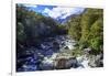 A Small Stream Near Milford Sound on the South Island of New Zealand-Paul Dymond-Framed Photographic Print