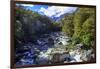 A Small Stream Near Milford Sound on the South Island of New Zealand-Paul Dymond-Framed Photographic Print