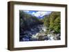 A Small Stream Near Milford Sound on the South Island of New Zealand-Paul Dymond-Framed Photographic Print