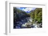 A Small Stream Near Milford Sound on the South Island of New Zealand-Paul Dymond-Framed Photographic Print