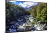 A Small Stream Near Milford Sound on the South Island of New Zealand-Paul Dymond-Mounted Photographic Print