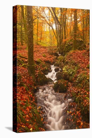 A Small Stream Running Through Charles Wood-Julian Elliott-Stretched Canvas