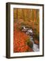 A Small Stream Running Through Charles Wood-Julian Elliott-Framed Photographic Print