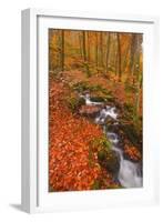 A Small Stream Running Through Charles Wood-Julian Elliott-Framed Photographic Print