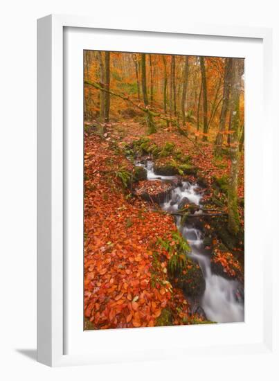 A Small Stream Running Through Charles Wood-Julian Elliott-Framed Photographic Print