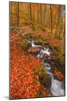 A Small Stream Running Through Charles Wood-Julian Elliott-Mounted Photographic Print