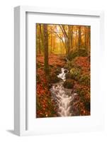 A Small Stream Running Through Charles Wood-Julian Elliott-Framed Photographic Print