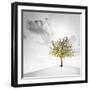 A Small Tree with Yellow Leaves on a White Background with Clouds-Luis Beltran-Framed Photographic Print