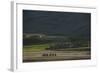 A Small Village in Bamiyan Province, Afghanistan, Asia-Alex Treadway-Framed Photographic Print