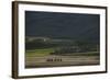 A Small Village in Bamiyan Province, Afghanistan, Asia-Alex Treadway-Framed Photographic Print