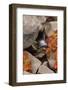 A Small Waterfall , California's Sierra Nevada Mountain Range-John Alves-Framed Photographic Print