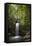 A Small Waterfall in El Yunque National Forest, Puerto Rico-Neil Losin-Framed Stretched Canvas