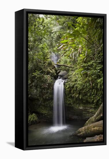 A Small Waterfall in El Yunque National Forest, Puerto Rico-Neil Losin-Framed Stretched Canvas