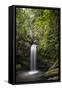 A Small Waterfall in El Yunque National Forest, Puerto Rico-Neil Losin-Framed Stretched Canvas