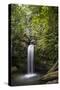 A Small Waterfall in El Yunque National Forest, Puerto Rico-Neil Losin-Stretched Canvas
