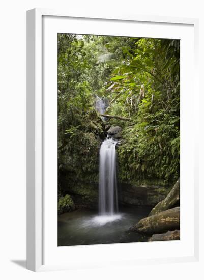 A Small Waterfall in El Yunque National Forest, Puerto Rico-Neil Losin-Framed Photographic Print