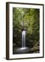 A Small Waterfall in El Yunque National Forest, Puerto Rico-Neil Losin-Framed Photographic Print