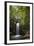 A Small Waterfall in El Yunque National Forest, Puerto Rico-Neil Losin-Framed Photographic Print