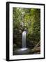 A Small Waterfall in El Yunque National Forest, Puerto Rico-Neil Losin-Framed Photographic Print