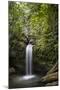 A Small Waterfall in El Yunque National Forest, Puerto Rico-Neil Losin-Mounted Photographic Print