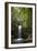 A Small Waterfall in El Yunque National Forest, Puerto Rico-Neil Losin-Framed Photographic Print