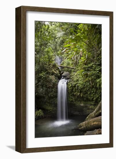 A Small Waterfall in El Yunque National Forest, Puerto Rico-Neil Losin-Framed Photographic Print