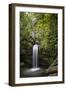 A Small Waterfall in El Yunque National Forest, Puerto Rico-Neil Losin-Framed Photographic Print