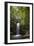 A Small Waterfall in El Yunque National Forest, Puerto Rico-Neil Losin-Framed Photographic Print