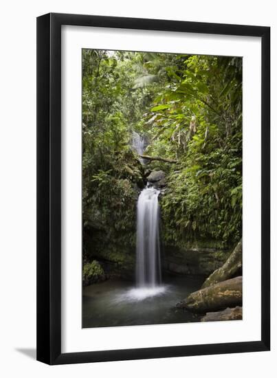 A Small Waterfall in El Yunque National Forest, Puerto Rico-Neil Losin-Framed Photographic Print