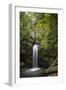 A Small Waterfall in El Yunque National Forest, Puerto Rico-Neil Losin-Framed Photographic Print