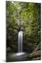 A Small Waterfall in El Yunque National Forest, Puerto Rico-Neil Losin-Mounted Photographic Print