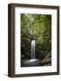 A Small Waterfall in El Yunque National Forest, Puerto Rico-Neil Losin-Framed Photographic Print