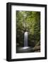 A Small Waterfall in El Yunque National Forest, Puerto Rico-Neil Losin-Framed Photographic Print