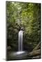 A Small Waterfall in El Yunque National Forest, Puerto Rico-Neil Losin-Mounted Photographic Print
