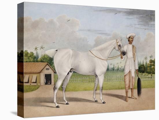 A Small White Stallion Standing with a Groom Holding a Chauri-Shaikh Muhammad Amir Of Karraya-Stretched Canvas