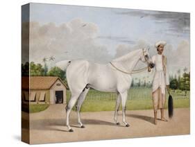 A Small White Stallion Standing with a Groom Holding a Chauri-Shaikh Muhammad Amir Of Karraya-Stretched Canvas