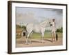 A Small White Stallion Standing with a Groom Holding a Chauri-Shaikh Muhammad Amir Of Karraya-Framed Giclee Print