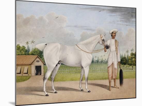 A Small White Stallion Standing with a Groom Holding a Chauri-Shaikh Muhammad Amir Of Karraya-Mounted Giclee Print