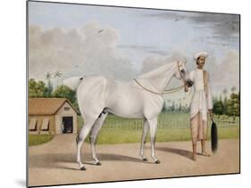 A Small White Stallion Standing with a Groom Holding a Chauri-Shaikh Muhammad Amir Of Karraya-Mounted Giclee Print
