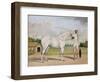 A Small White Stallion Standing with a Groom Holding a Chauri-Shaikh Muhammad Amir Of Karraya-Framed Giclee Print