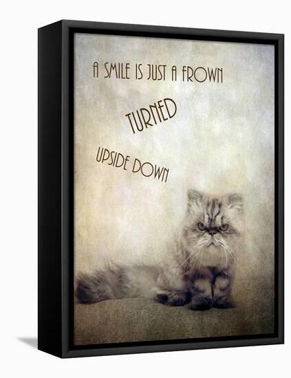 A Smile is Just a Frown-Jessica Jenney-Framed Stretched Canvas