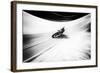 A Smoother Road-Paulo Abrantes-Framed Giclee Print