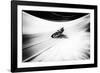 A Smoother Road-Paulo Abrantes-Framed Photographic Print