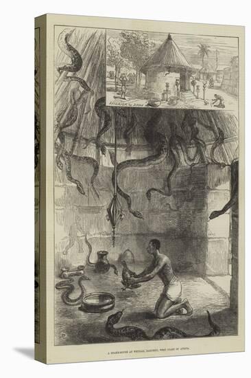 A Snake-House at Whydah, Dahomey, West Coast of Africa-Charles Robinson-Stretched Canvas