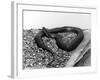 A Snake-null-Framed Photographic Print